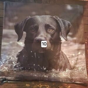 Black Lab Throw Pillow
